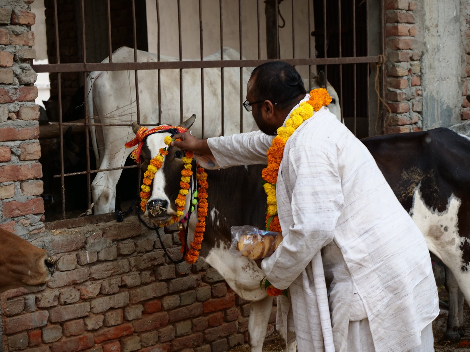  55 Gopashtami Radha kunda Govardhan 19.11.04